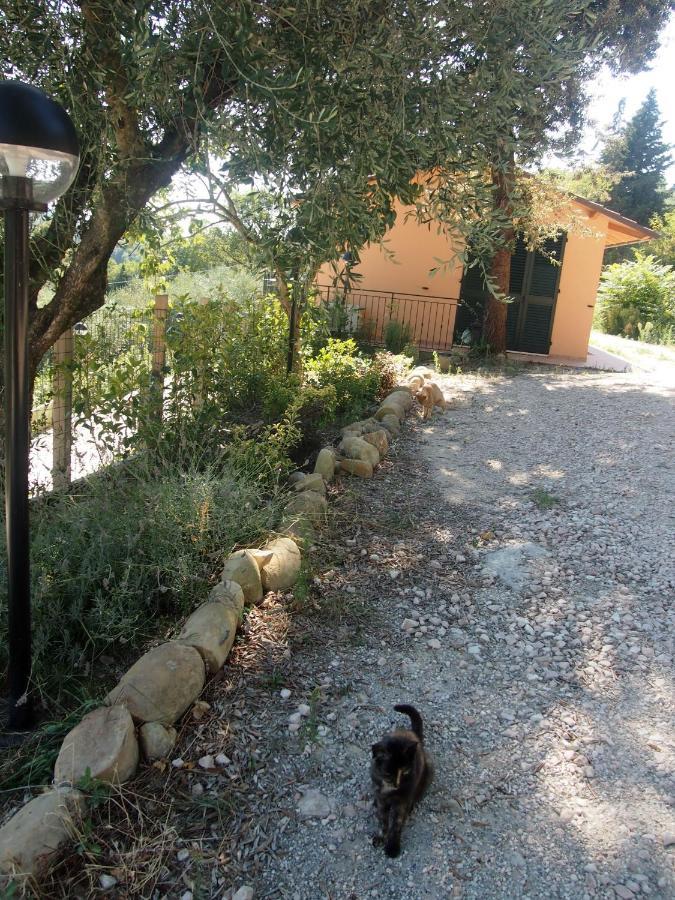 Agriturismo Ardizio 43 Pesaro Dış mekan fotoğraf