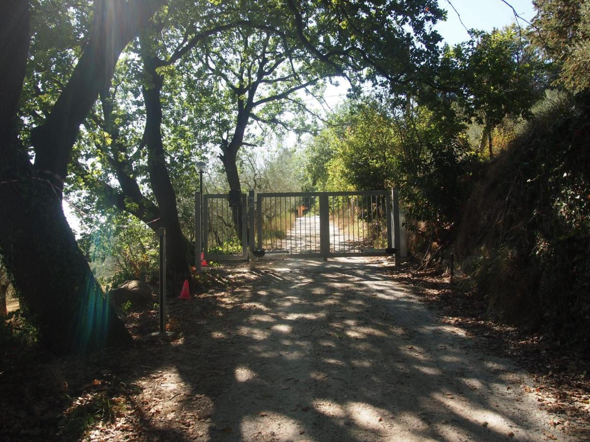 Agriturismo Ardizio 43 Pesaro Dış mekan fotoğraf