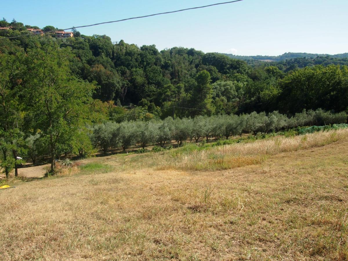 Agriturismo Ardizio 43 Pesaro Dış mekan fotoğraf